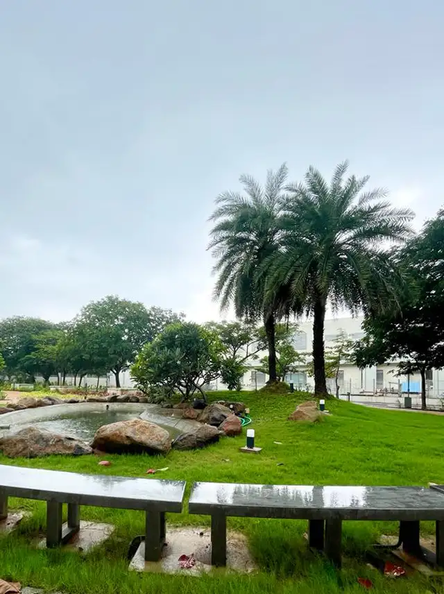 Restoration Of The Open Space